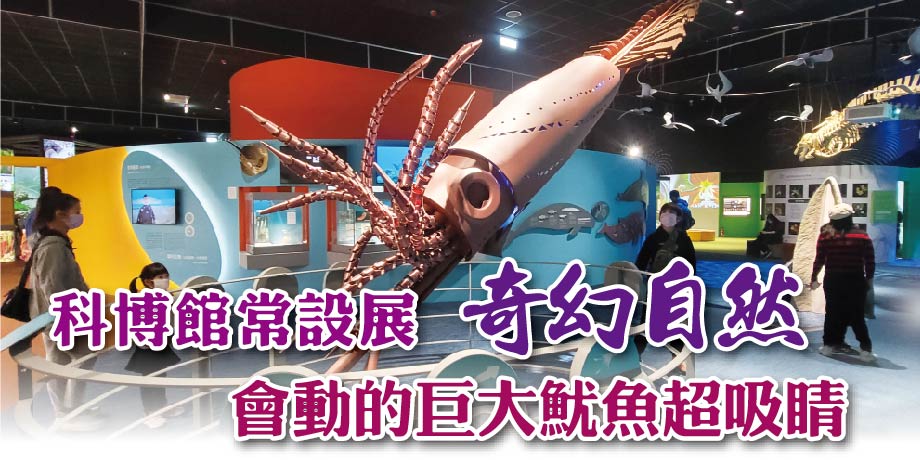 科博館常設展 奇幻自然會動的巨大魷魚超吸睛