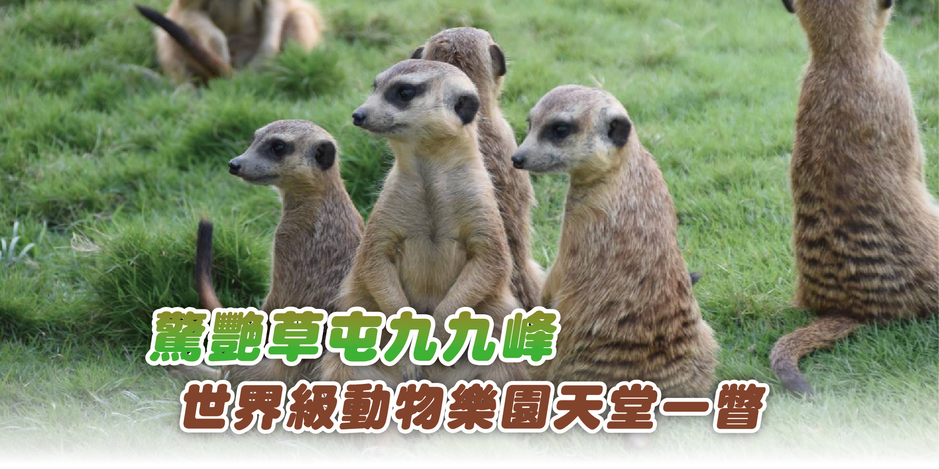 驚艷草屯九九峰 世界級動物樂園天堂一瞥