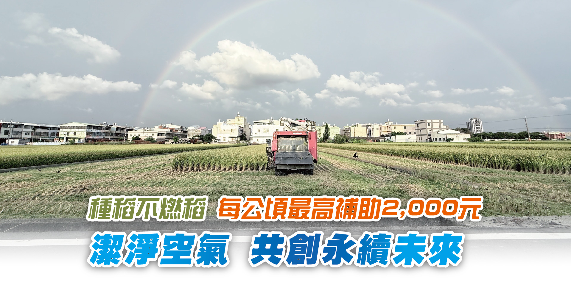 種稻不燃稻 每公頃最高補助2,000元