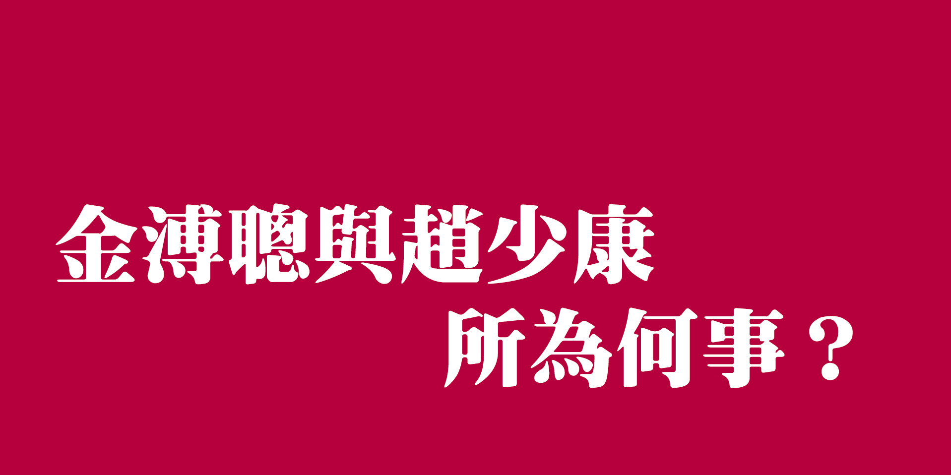 金溥聰與趙少康所為何事？
